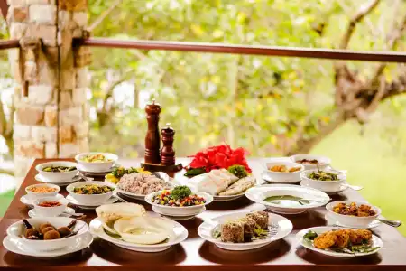 Thaulle Pure Ayurveda Resort - Yala - 8