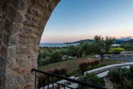 The Olive Yard - 46