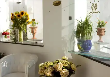 Onda Verde - 0