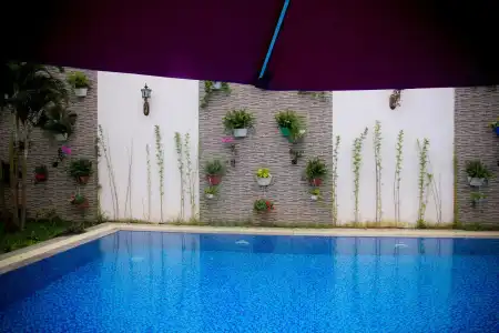 Lavender Resort - 16