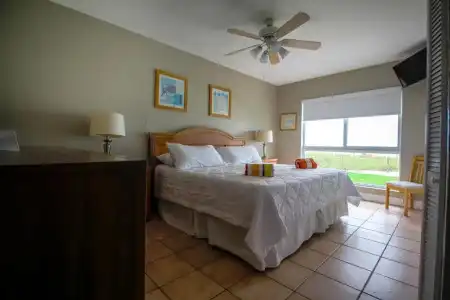Shore View - 3