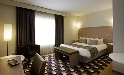 Mercure Grenoble Centre Porte des Alpes - 66