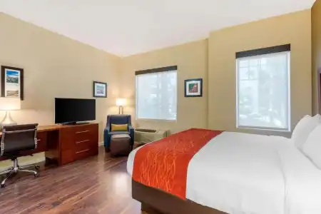 Comfort Inn & Suites near Ontario Airport - 71