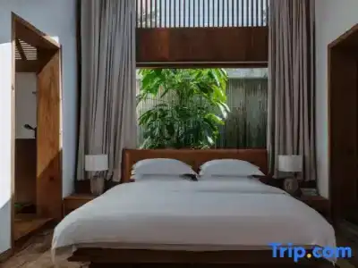 Oasis The Secret Luxury - 26