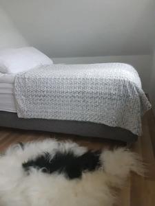 Guesthouse Lyngholt - 36