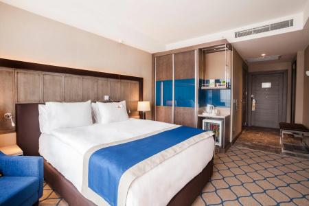 Holiday Inn KAYSERI - DUVENONU by IHG - 11