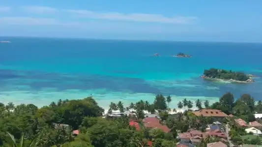Mango Lodge - 58