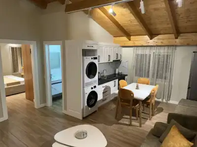 Arial Penthouse Suites - 61