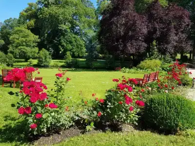 Château de Bellefontaine - 27