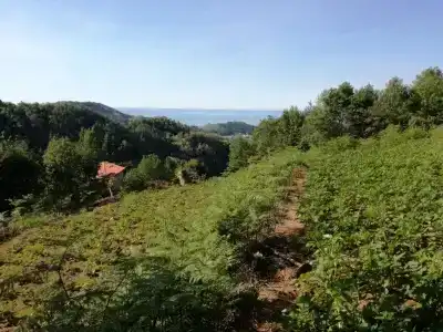 Agriturismo Verdure Naturali - 7