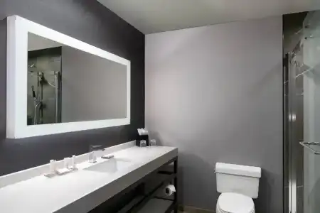 Courtyard by Marriott Chicago at Medical District / UIC - 25