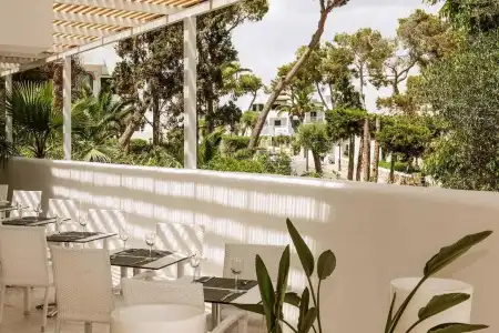 Sentido Fido Tucan - Adults Only - 12