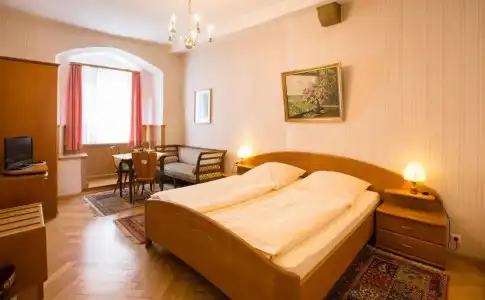 Hotel-Gasthof Goldener Greifen - 4
