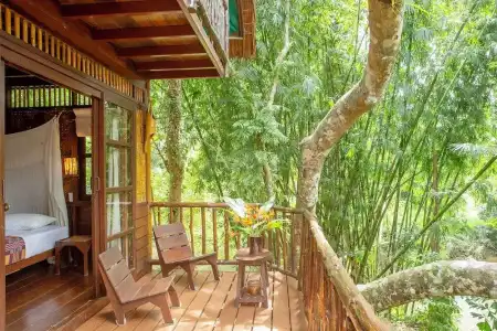 Our Jungle Camp - Eco Resort - 50