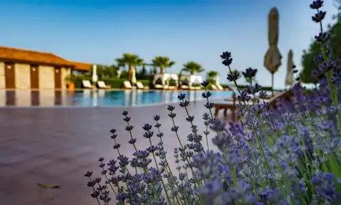Burgas Beach Resort - 20