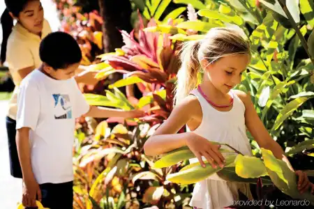 Four Seasons Resort Maui at Wailea - 23