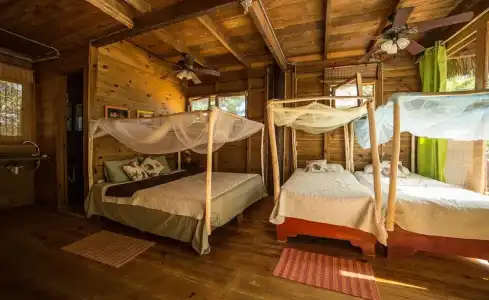 Cabarete Boutique Ecolodge Beachfront - 99