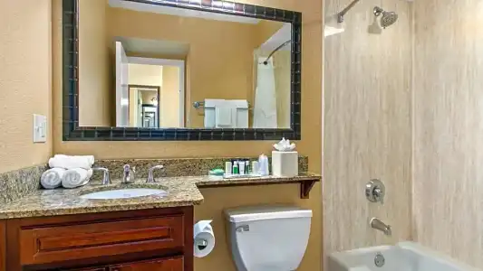 Holiday Inn & Suites Clearwater Beach by IHG - 48
