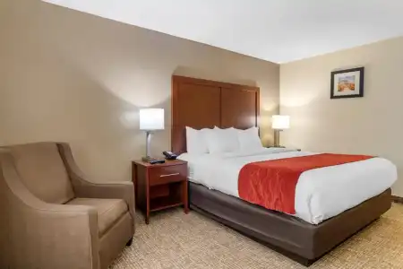 Comfort Inn & Suites Macon North I-75 - 24
