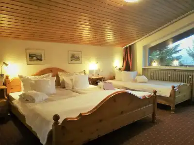 FerienSchwarzwälder Hof - 37