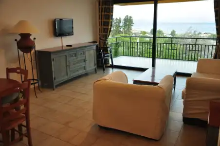 Palm Court Suites - 53