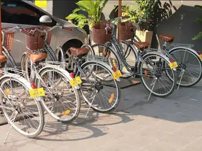 M Chiang Mai - 19