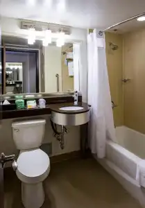 Holiday Inn Houston Downtown by IHG - 54