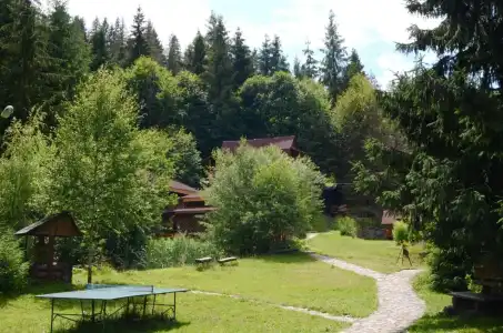 Zarinok - 49