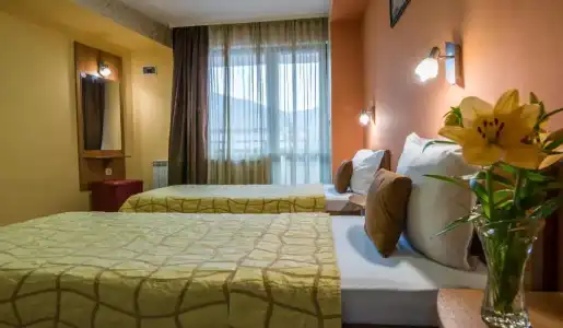 Boutique Guest House Ikonomov - 36