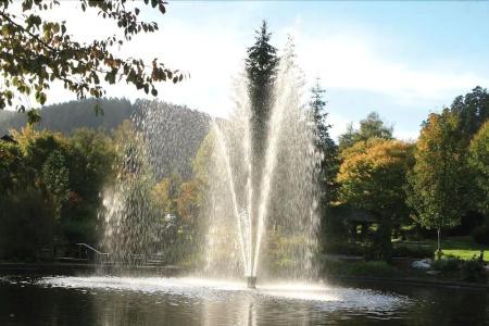 Restaurant Schwarzwaldhof - 24