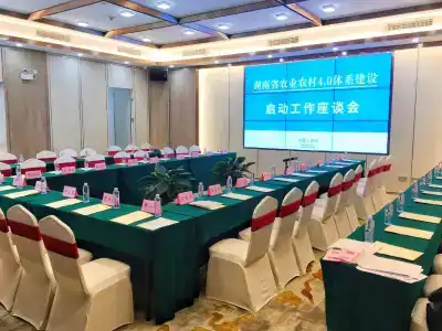 Shenzhen Luohu Lotus - 29