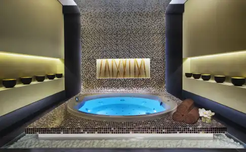 Damac Maison Cour Jardin - 3