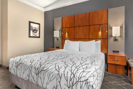 Best Western Plus Silver Saddle Inn - 56