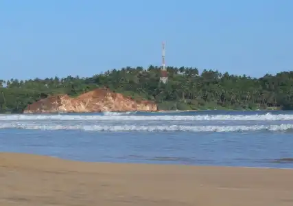 The Surfer - 2