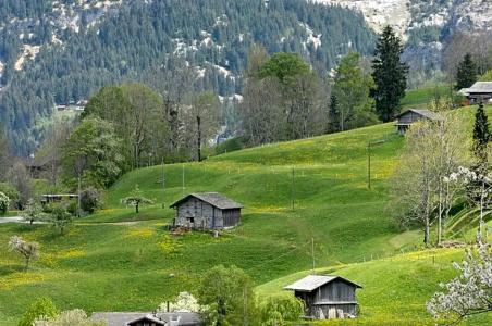 Aspen alpin lifestyle Grindelwald - 170