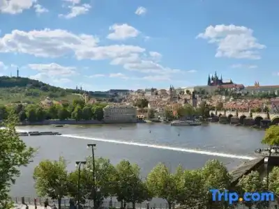 The Mozart Prague - Preferreds - 223