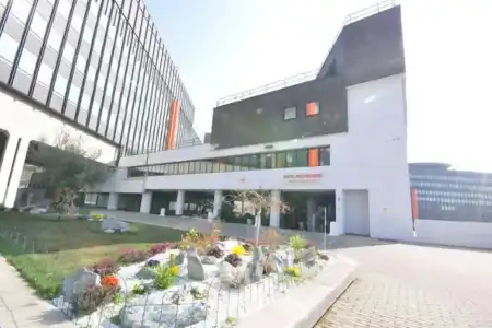 Best Quality Politecnico - 0
