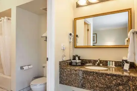 Clarion Inn & Suites Central Clearwater Beach - 16
