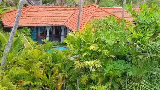 Good Karma Ayurvedic Resort - 62