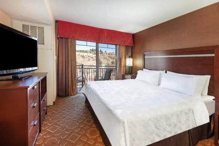 Holiday Inn & Suites Durango Downtown by IHG - 99