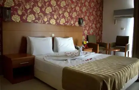 Surtel - 49