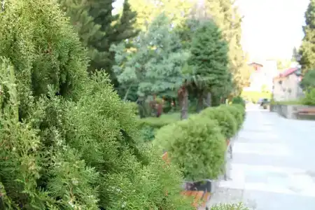 Sanatorium Avtomobilist - 13