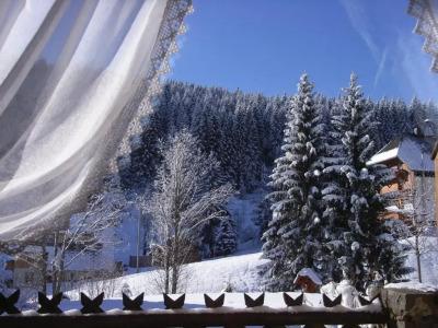 Schwarzwald-Pension Kräutle - 53