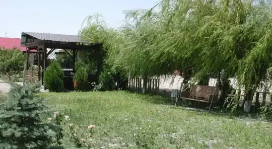 Parvana - 7