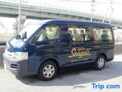 Seagull - 25