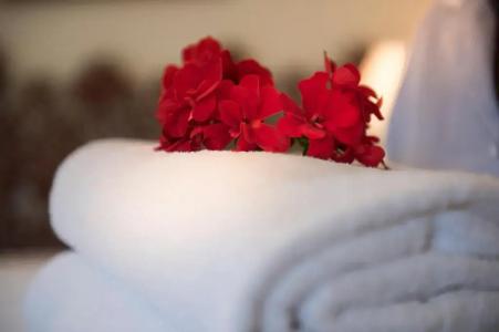 Villa Ermellina Siena, a Tribute Portfolio - 49