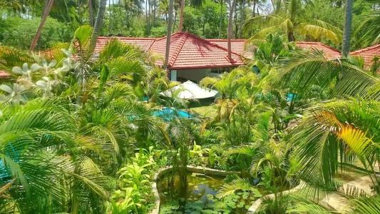 Good Karma Ayurvedic Resort - 69