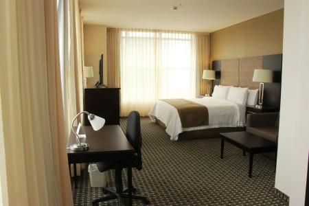 Holiday Inn México Santa Fe by IHG - 9