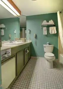 Senator Inn & Spa - 100