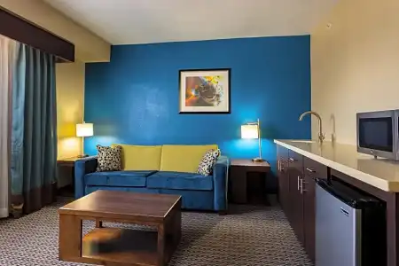 Holiday Inn Houston Downtown by IHG - 65